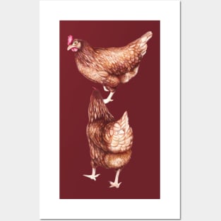 I love Chickens - Watercolor illustration Posters and Art